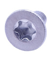 Lelit Screw - Screw M4x8 Din965 Torx T20 - MC139